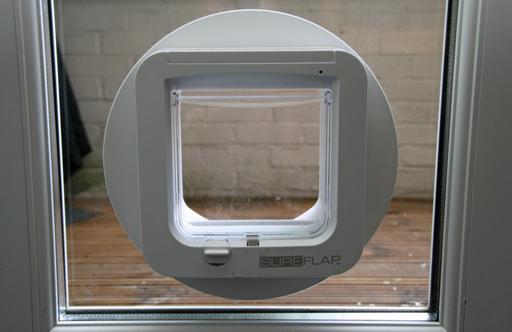Cat Flap & Dog Flap Installations